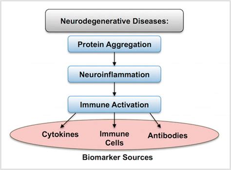 Inflammation Biomarkers Moleculera Labs