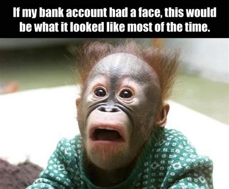 Add in the links i shared for more super funny jokes and you have enough to share a kids joke of the day. If My Bank Account Had A Face Pictures, Photos, and Images for Facebook, Tumblr, Pinterest, and ...