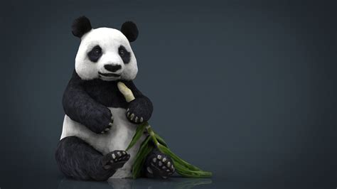 Panda 3d Model In Bear 3dexport