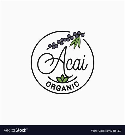 Acai Branch Logo Round Linear Superfood Royalty Free Vector