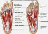 Images of Intrinsic Foot Muscle Exercises