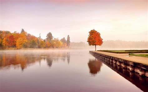 Autumn Nature Landscape Trees Orange Water Morning Mist Wallpaper