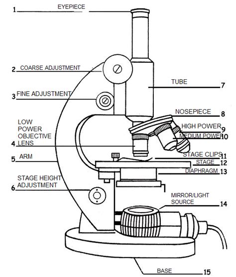 Electron Microscope Labelled Diagram