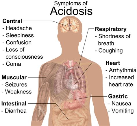 Acidosis Symptoms Diagnosis Causes And Treatment