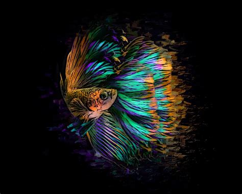 Betta Fish Abstract 01 Digital Art By Scott Wallace Digital Designs