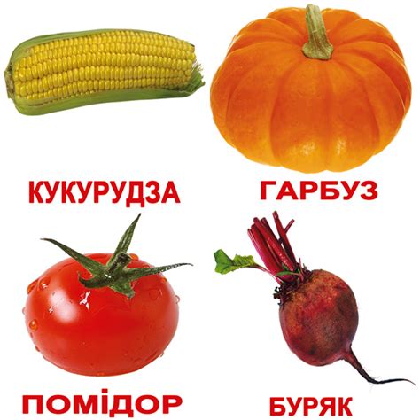 Карточки Домана: Украинские карточки «Овощи с фактами» (МИНИ), 40 ...