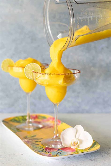 Vitamix Margarita Mix Recipe Bryont Blog
