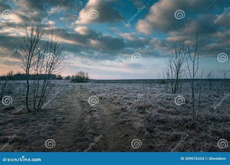 Winter Moring Among Fields Stock Photo Image Of Forest 209076534