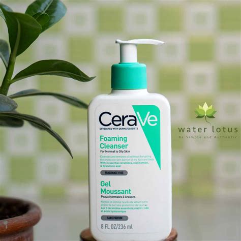 Cerave Foaming Cleanser Normal To Oily Skin