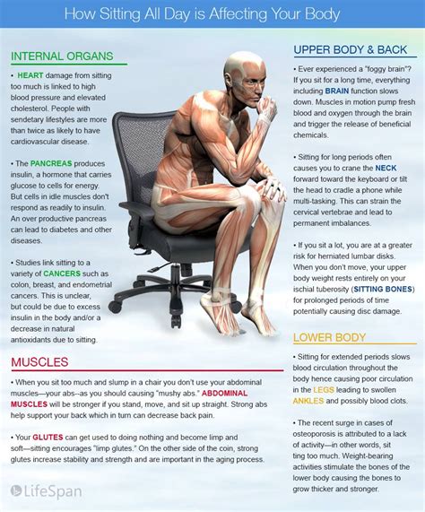 effects of a sedentary lifestyle infographic aegis risk management services