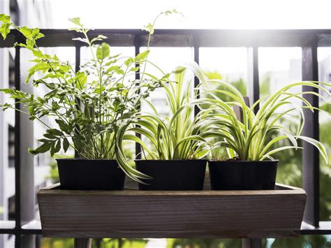 6 Best Balcony Planters The Independent The Independent