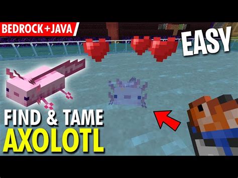 How To Find Axolotls In Minecraft Caves And Cliffs