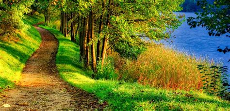 Scenic Nature Landscape Of Path Near Lake Stock Photo Image Of Blue
