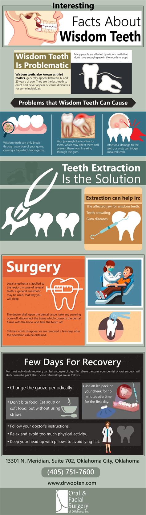 Infographic Interesting Facts About Wisdom Teeth Infographictv
