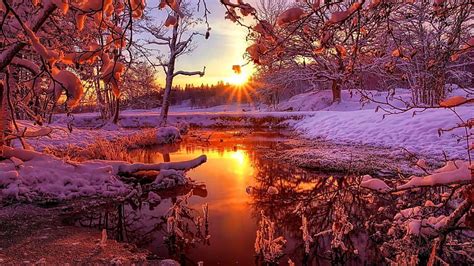Hd Wallpaper Sunset Winter Landscape Sunray Forest