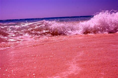 Pink Sand Beach Bermuda Pink Sand Beach Bermuda Pink Sand Beach