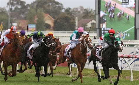 Caulfield Cup Placegetters On Target For 2019 Melbourne Cup Sports News Australia