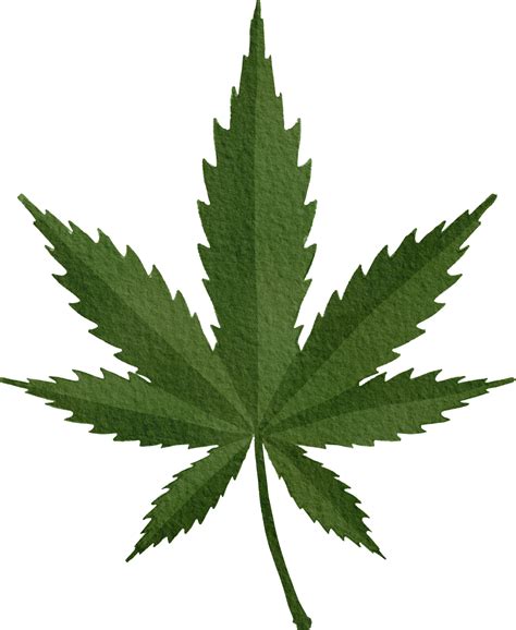Weed Leaf Pngs For Free Download