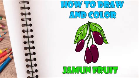 how to draw and color jamun fruit step by step guide easy drawing youtube