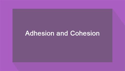 It is a force of attraction between the molecules of the same molecular formula or it is a force between like molecules. Difference between Adhesion and Cohesion | Mecholic