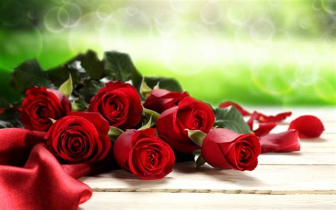 Download Wallpaper For 1080x1920 Resolution Red Roses Valentines Day