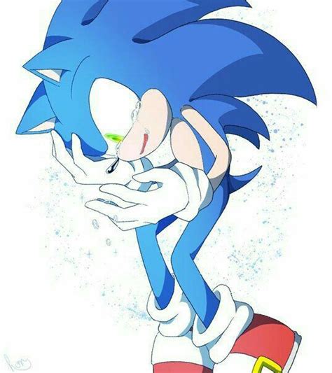 Broken Hedgehog Male Hedgehog Reader X Sonic Haremcancel Sonic