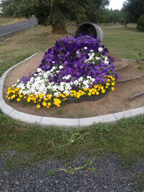 Petunia Spill Waterfall First Attempt Had To Cover With Net To Keep