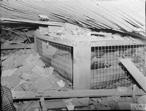 Morrison Shelter On Trial Testing The New Indoor Shelter 1941