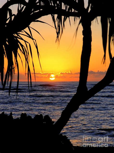 Sunrise Fuji Beach Kauai Photograph By Mary Deal Fine Art America