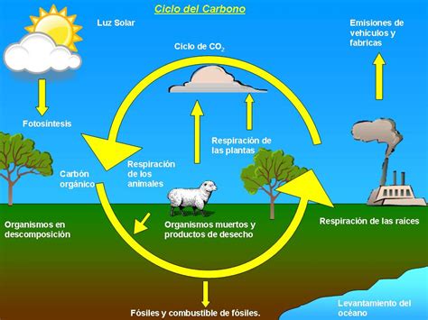 Ecologia Ciclos Atmosfericos