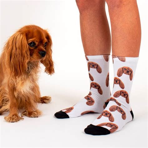 We can use any pet picture and turn it into your new favorite homage to your pet, in pet sock form! You can now get your dog's face printed all over your ...