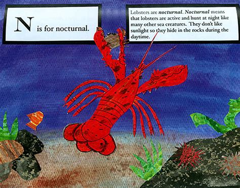 The Amazing World Of Lobsters Models Of Excellence