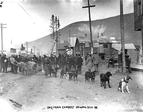 Woman Arriving In The Streets Of Dawson With A Dog Team Carrying Her