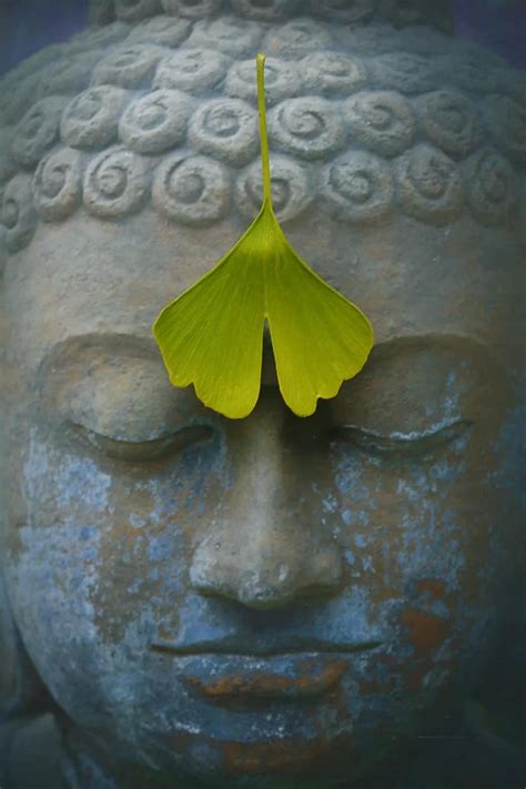 Meditation Buddha Yin And Yang Buddhism Zen Chan Yoga Faith