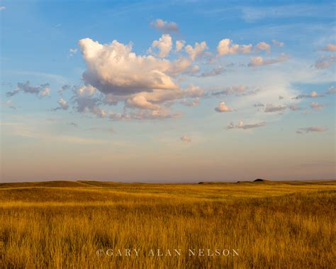 Prairie On The Badlands Badlands National Park South Dakota Gary