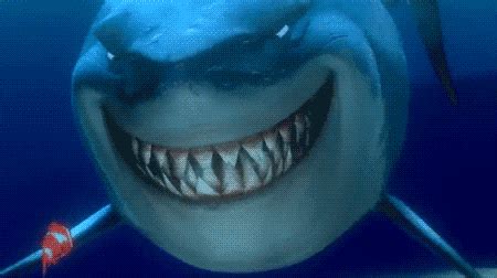Shark GIFs Find Share On GIPHY