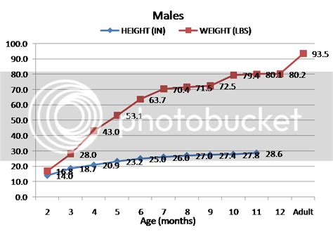Growth Chart Of Puppy Weight And Height Page 10 Doberman Forum