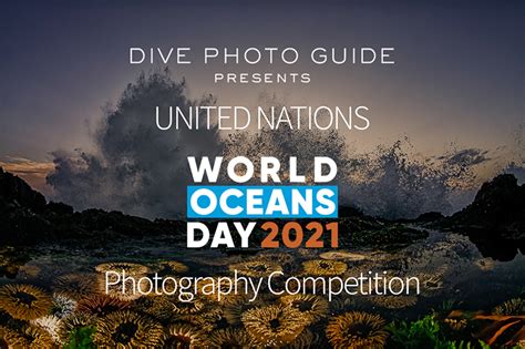 Eighth Annual United Nations World Oceans Day Photo Competition