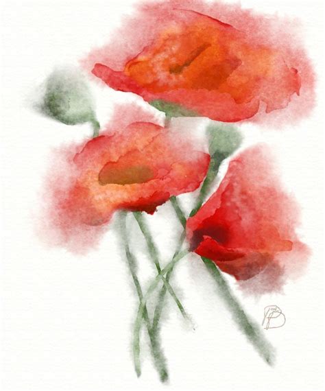 Watercolor Poppies Done With Artrage Vitae Digital Software Artrage