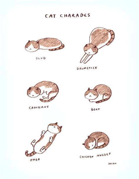 There are a plethora of positions cats sit and sleep in that look downright intolerable to us humans, but that doesn't mean they are! Cat Charades.