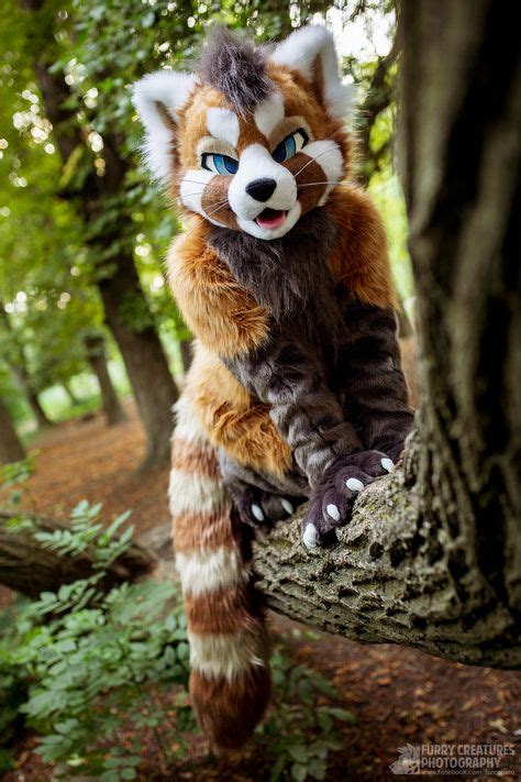 230 Fursuit Photography Ideas In 2021 Fursuit Furry Furry Art