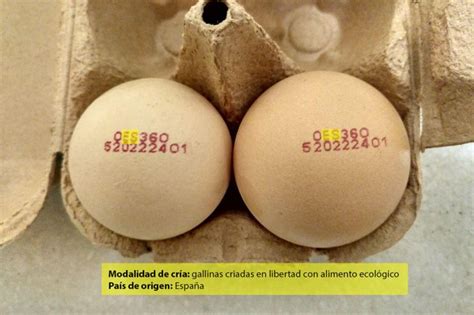 El código de los huevos cómo te ayuda a elegirlos SAIA