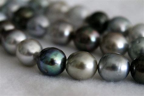 Tahitian Pearls 3 Things You MUST Know