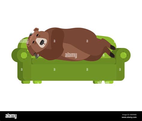 Bear Duerme En Un Sofá Grizzly Dormido En La Cama Bestia Salvaje En