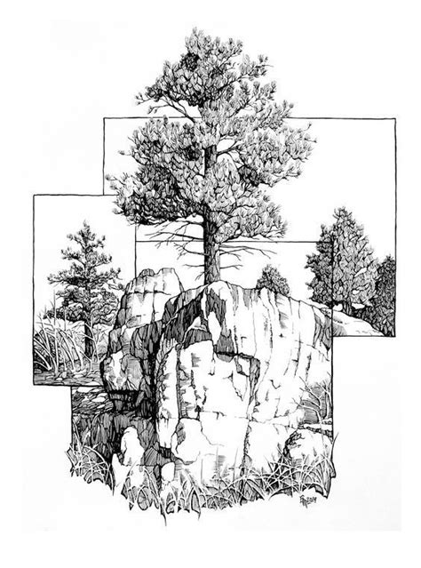 A Black And White Drawing Of A Tree On Top Of A Rock