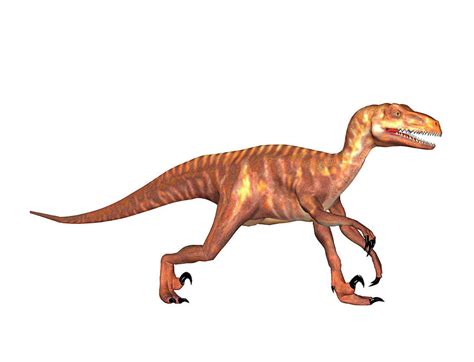 Deinonychus A Carnivorous Dinosaur From The Early Cretaceous Poster