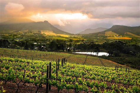Franschoek Wine Valley With Cape Touring