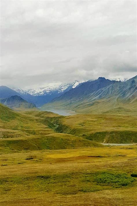 In alaska they say 'alaska is the way america was' and the best way to witness this is with an epic alaskan road trip. Visiting Denali National Park - Trip Report & Tips - Trip ...