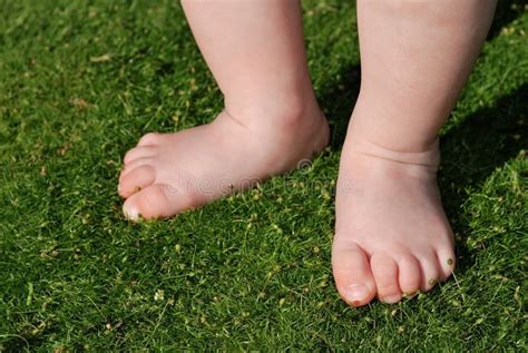 Baby Feet On Grass Outdoors Stock Image Image Of Heel Pair 11036271
