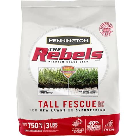 Pennington The Rebels 3 Lbs Tall Fescue Grass Seed Blend 100543728